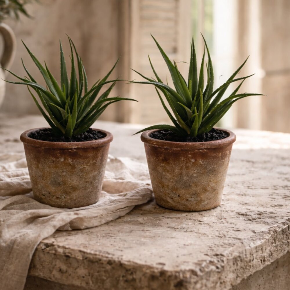 Set of 2  Faux Lifelike Aloe Plant In Rustic Terracotta Pot Planter